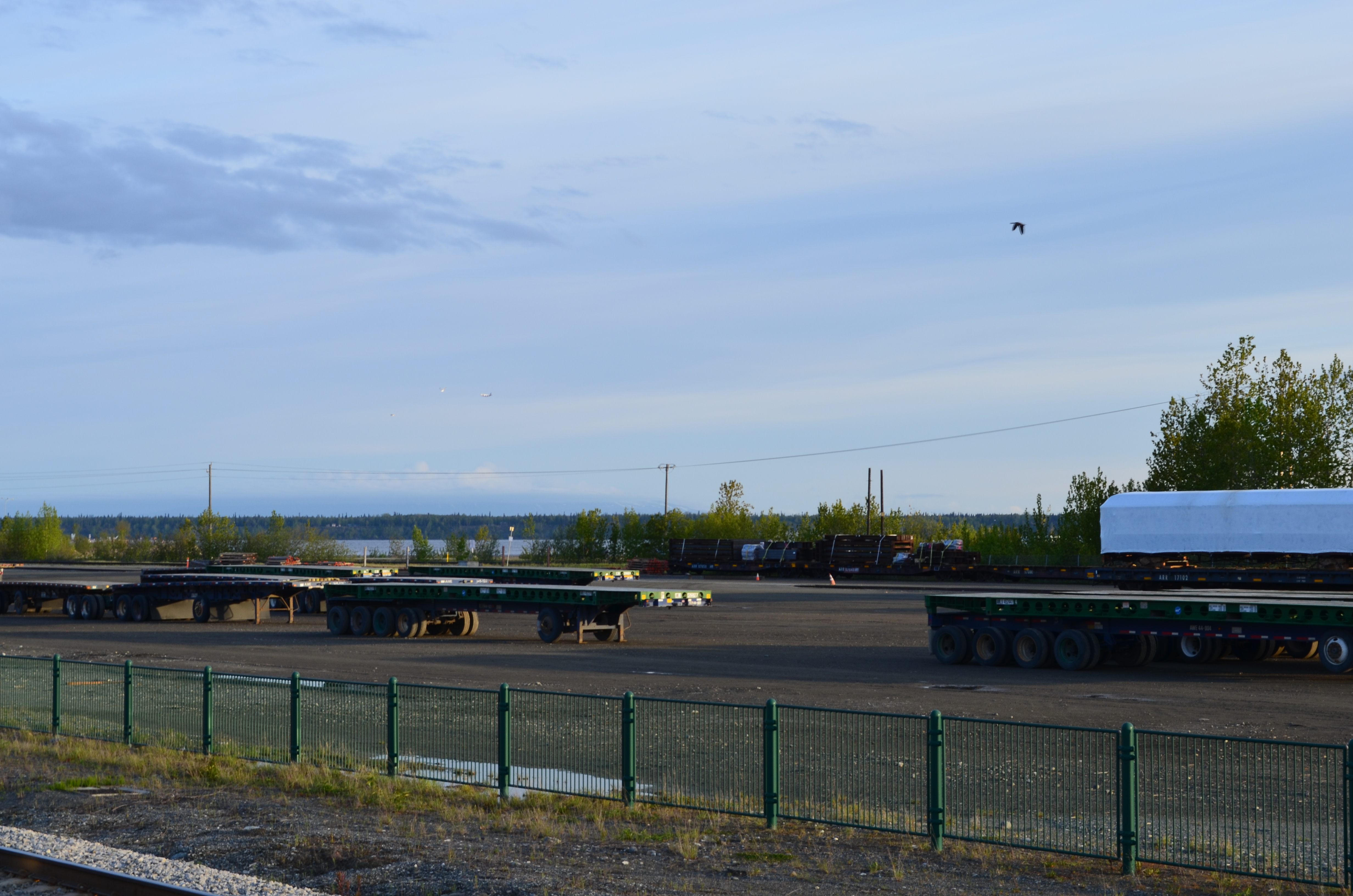 ./2017/08 - Alaska Cruise/04 - Anchorage/DSC_0362.JPG